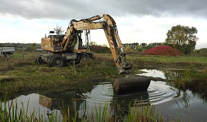 Neue Lebensr&auml;ume werden geschaffen