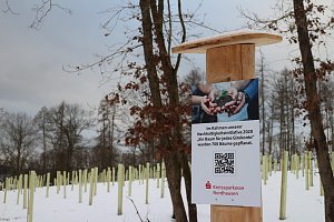 W&auml;ldchen im Wandel - Harz Rigi