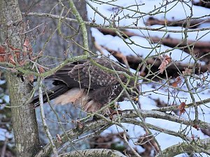 Peter Blei unterwegs bei Steigerthal