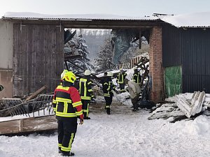 Rettung in der Not: in Lipprechterode konnten die freiwilligen Feuerwehren heute rund 350 Schafe bergen
