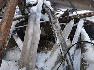 Rettung in der Not: in Lipprechterode konnten die freiwilligen Feuerwehren heute rund 350 Schafe bergen