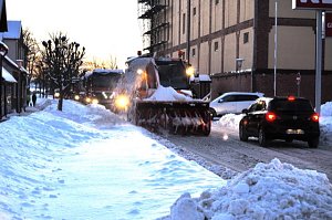 Schneefr&auml;se in Heringen im Einsatz