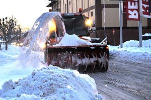 Schneefr&auml;se in Heringen im Einsatz