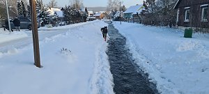 Stemepda "r&auml;umt auf"