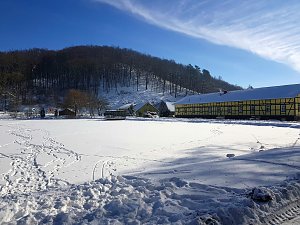 Hohnstein im Winterzauber
