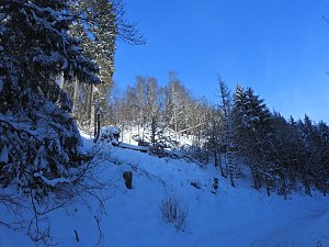 Im Brandesbachtal