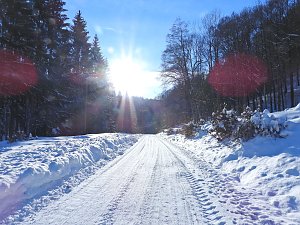 Im Brandesbachtal
