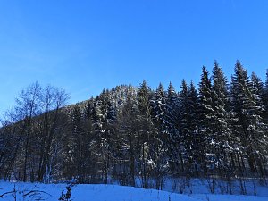 Im Brandesbachtal