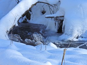 Im Brandesbachtal