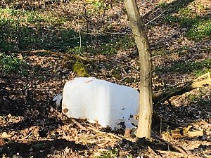 F&uuml;nf Jahre alte Sprengreste im Wald