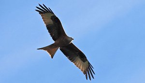 Ausflug in die Windl&uuml;cke