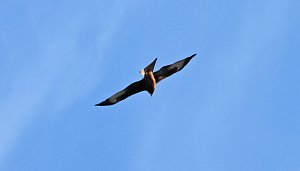 Ausflug in die Windl&uuml;cke