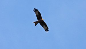 Ausflug in die Windl&uuml;cke