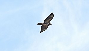 Ausflug in die Windl&uuml;cke
