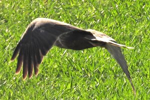 Ausflug in die Windl&uuml;cke