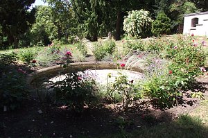 Erholsam und entspannend ist zu jeder Jahreszeit ein Besuch im Park Hohenrode.