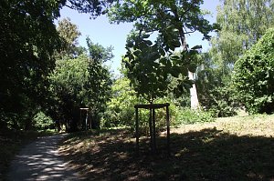 Erholsam und entspannend ist zu jeder Jahreszeit ein Besuch im Park Hohenrode.