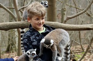 Besuch im Affenpark Strau&szlig;berg