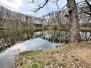 Peter Blei unterwegs in Steinsee