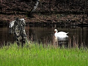 Peter Blei unterwegs in Steinsee