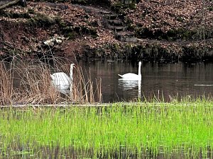 Peter Blei unterwegs in Steinsee