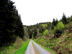 Vatertagswanderung
