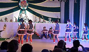Rentnerfasching bei Gr&uuml;n-Wei&szlig;