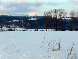 Winterbilder