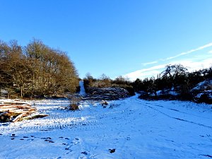 Winterspaziergang am Rosenteich