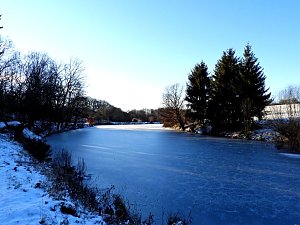 Winterspaziergang am Rosenteich