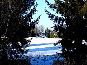 Winterspaziergang am Rosenteich
