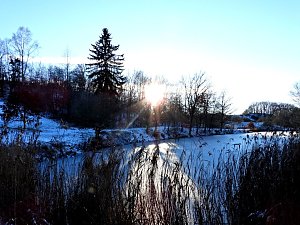 Winterspaziergang am Rosenteich