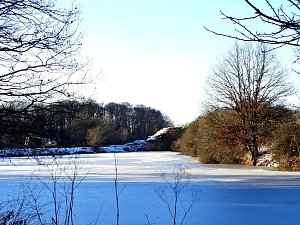 Winterspaziergang am Rosenteich