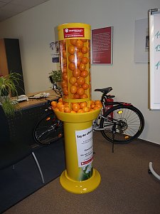 Ausflug zur Talsperre Neustadt