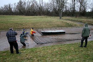 Fische umgesetzt