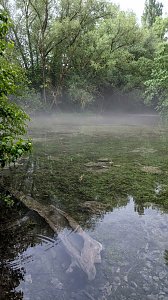Wanderung am 21. Mai in den Gipskarst