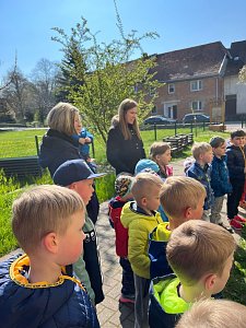 Schmetterlingsprojekt im Kindergarten