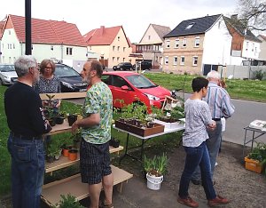 Pflanzentauschb&ouml;rse in Bad Frankenhausen