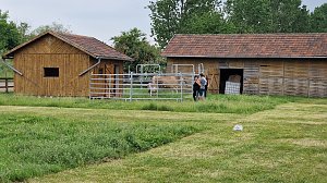 Landwirtschaft zum Staunen und Anfassen