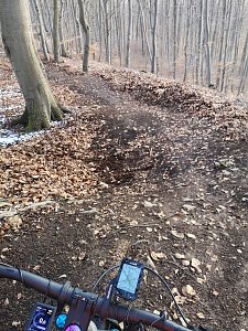 Unterwegs in der Goldenen Aue