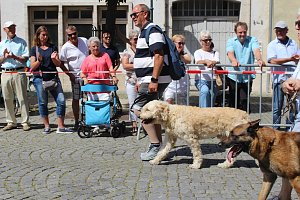 Impressionen vom Festumzug 