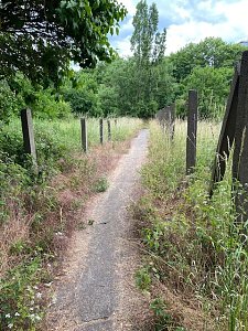 Unber&uuml;hrte Natur in Nordhausen?