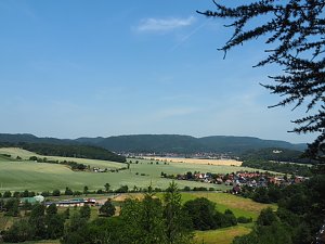 Auf dem Feuersalamanderpfad