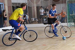 Die Ilfelder Radballer k&auml;mpfen weiter um den Aufstieg