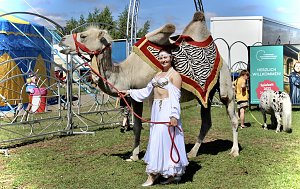 Circus Salto gastiert in Sondershausen