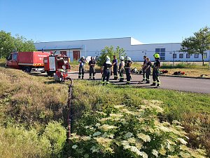 Schwierige Ausbildung abgeschlossen