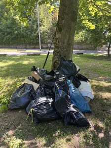 Clean Up Day