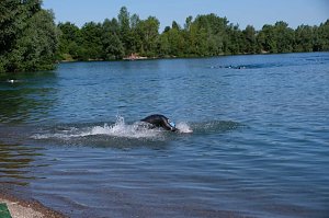 19. Scheunenhof-Triathlon gestartet