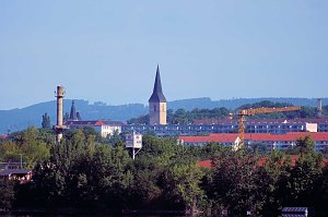 19. Scheunenhof-Triathlon gestartet