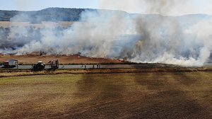 Feldbrand bei Gro&szlig;furra